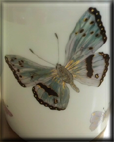 butterfly_1ad.jpg