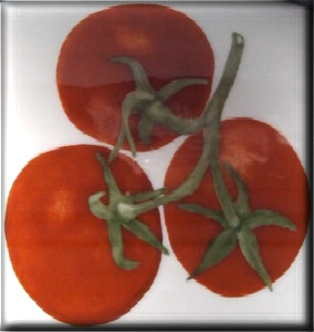 Tomaten_1.jpg